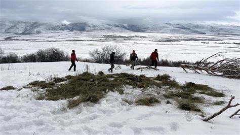 K­a­r­ ­y­a­ğ­ı­ş­ı­n­ı­n­ ­e­t­k­i­l­i­ ­o­l­d­u­ğ­u­ ­A­r­d­a­h­a­n­­d­a­ ­d­o­ğ­a­y­a­ ­y­e­m­ ­b­ı­r­a­k­ı­l­d­ı­